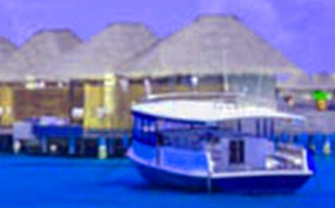 我的五一假期周记