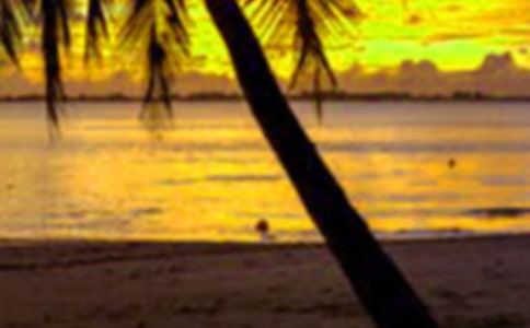 �����ĵø���