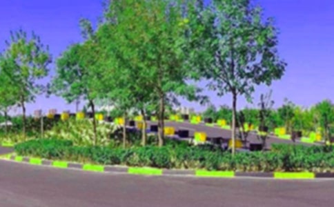 ��У��ѧ�ƻ�