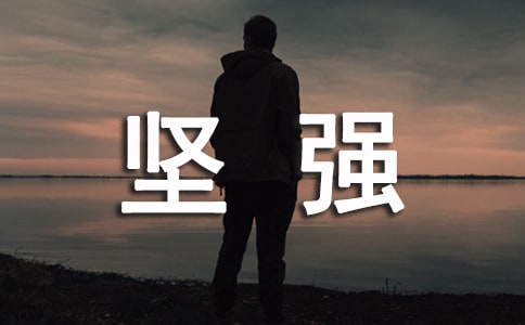 《坚强核心》心得体会