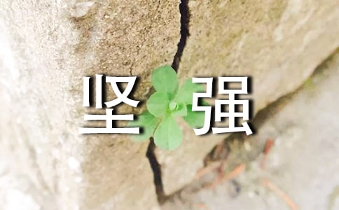 Ϊ��ǿ�Ȳʲ����⼯��