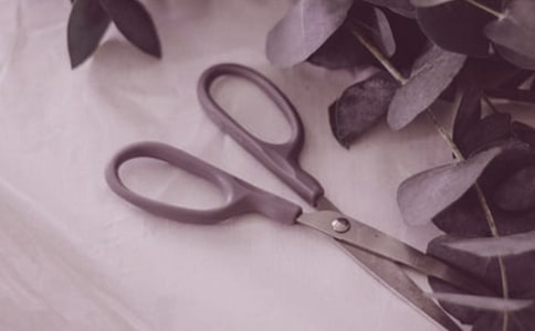 �ǰ�����ļ���