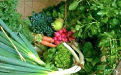 ��ཡ���̰������ϡ�