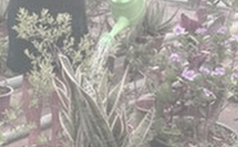 �������ܼ�