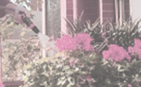 ����Сѧ����(����15ƪ)