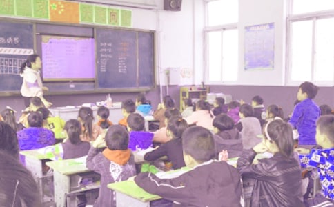 《跨越百年的美丽》教学反思优秀