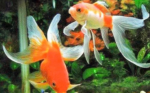 �����ѧ��˼