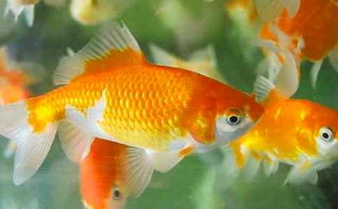 �����㡷��ѧ��˼