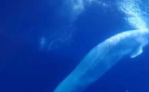 �����ݺʹ��㡷���̰�