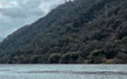 ��д��ɫ���ġ��ȡ�