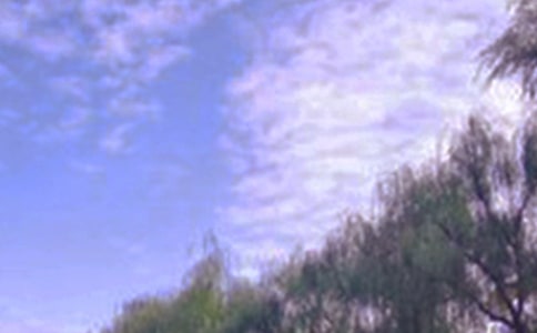 ���ر������꼶��ɫ������ƪ