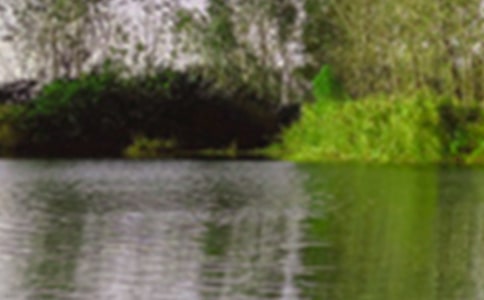 д��ɫ������[����9ƪ]