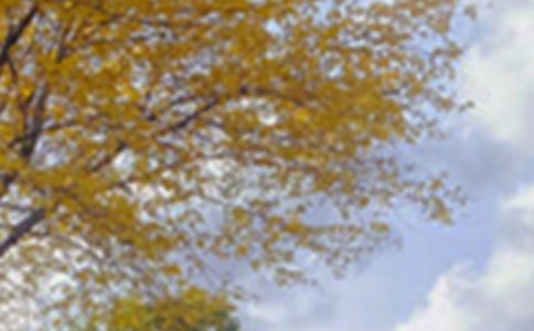 д��ɫ�����ģ�ʵ��4ƪ��