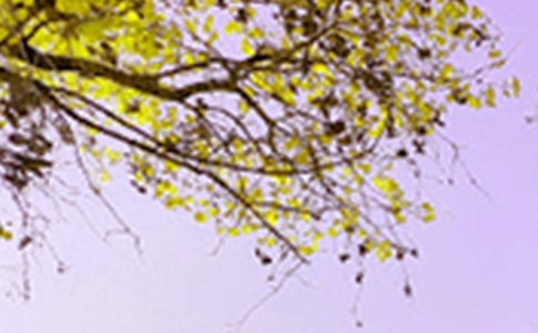 д��ɫ������[ͨ��]