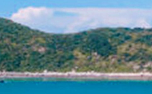 ��д��ɫ����[��ѡ4ƪ]