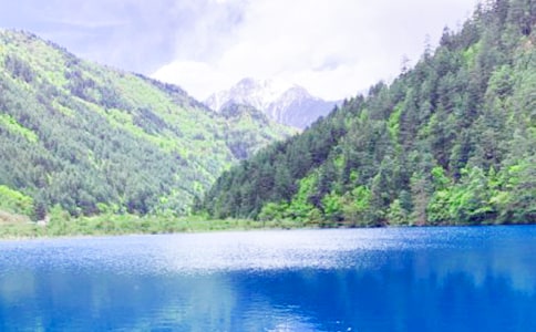 ��կ�����㵼�δ�