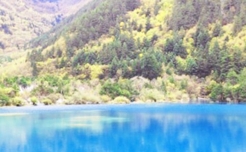 ����կ������ѧ��˼�ϼ�[14ƪ]