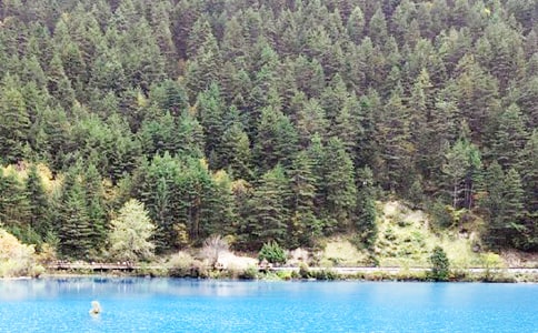 九寨沟导游词(15篇)