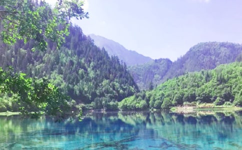 ��������կ�����δ�