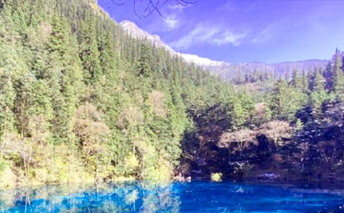 四川九寨沟导游词 15篇