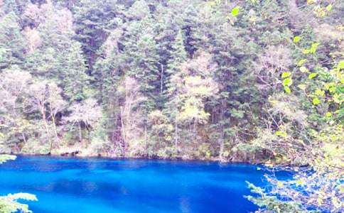 �Ĵ���կ�����δ�15ƪ