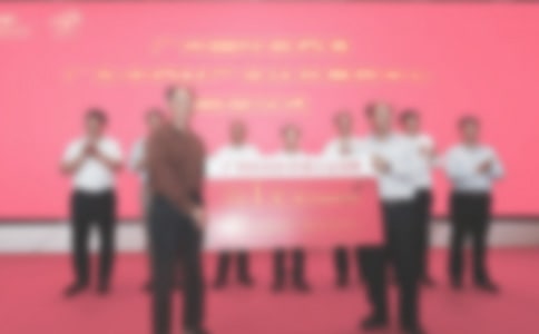 �������ʽ��л��