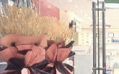 酒店开业开幕词