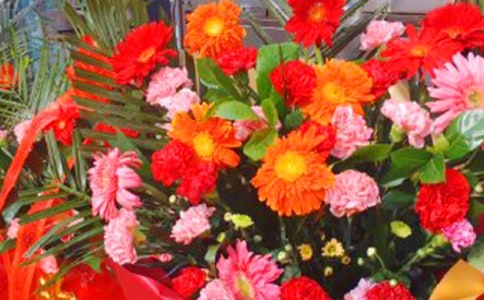 ���ļ�԰�����ˣ���ӭ��������������׬Ǯ���򳵡�����