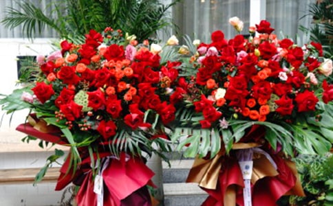 ����̵꿪�����̰�