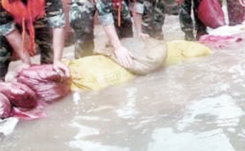 ������ָ�л�ŷ��ĺϼ���ƪ