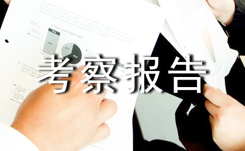 (����)������챨��