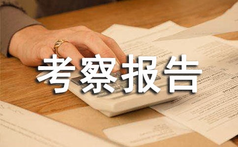 У��������챨��