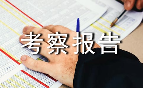传媒出版业考察报告范文