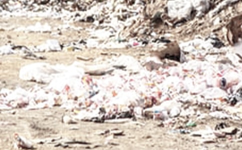 ����Ͳ���̰�