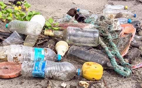 《我们身边的垃圾》教案