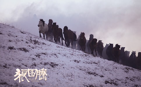 【热】《狼图腾》读后感15篇