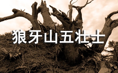 《狼牙山五壮士》语文教学反思