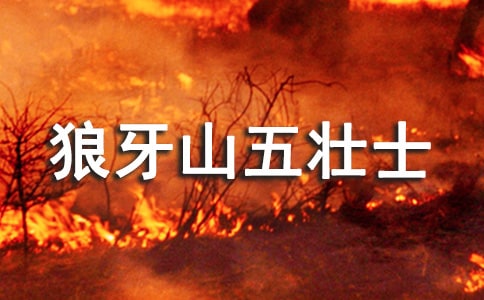 狼牙山五壮士的读后感范文