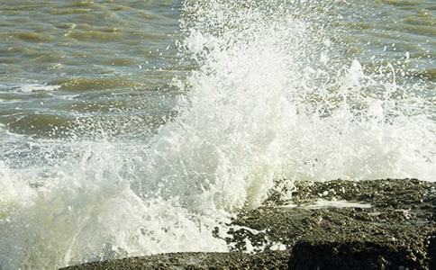 �������˻���������