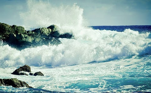 ���˻��̰�