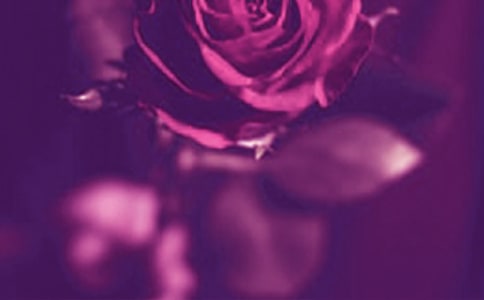 ������ͼ�� ����������