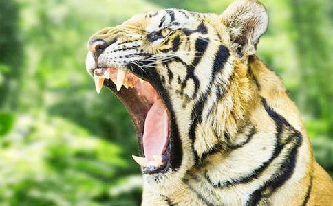 ����ֻ�ϻ�����ѧ��˼����ѡ18ƪ��