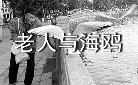 老人与海鸥教学反思(通用5篇)