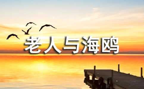 《老人与海鸥》读后感-读后感650字