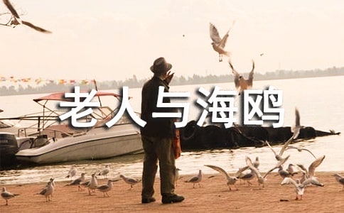 《老人与海鸥》教学设计(人教版高一必修)