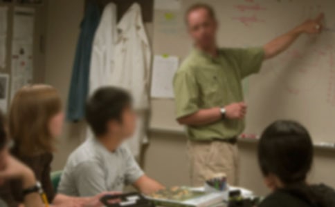 ��Ǹ�ŷ��ĸ���ʦ