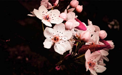 �滨�� �ִ����Ķ���ϰ����