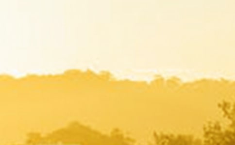 黎明的通知(网友来稿) 教案教学设计