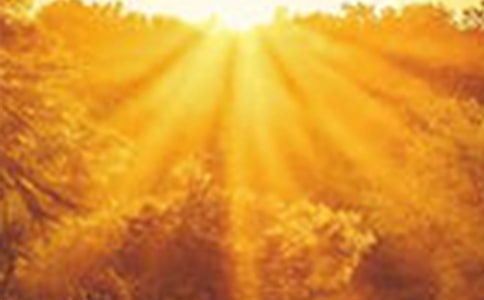 ��˭��ӭ���������̰�