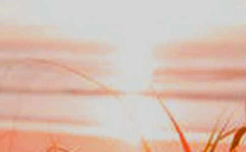 ��������������⣬���й��������ۺ��1000��